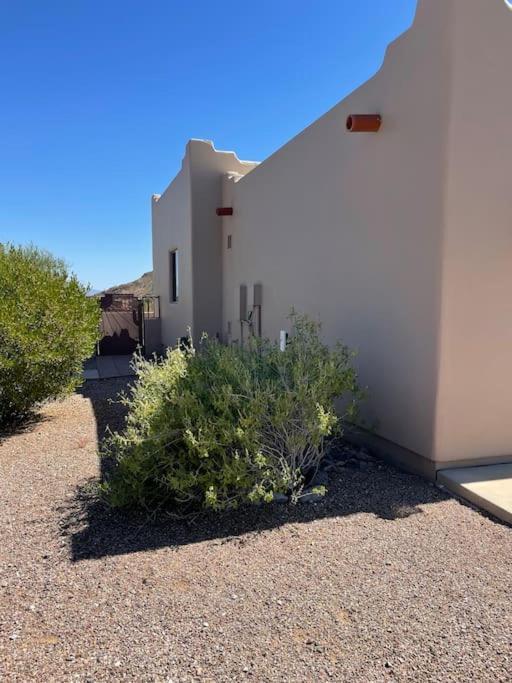 Tucson Mnt Foothills Saguaro Bliss Villa Exterior photo