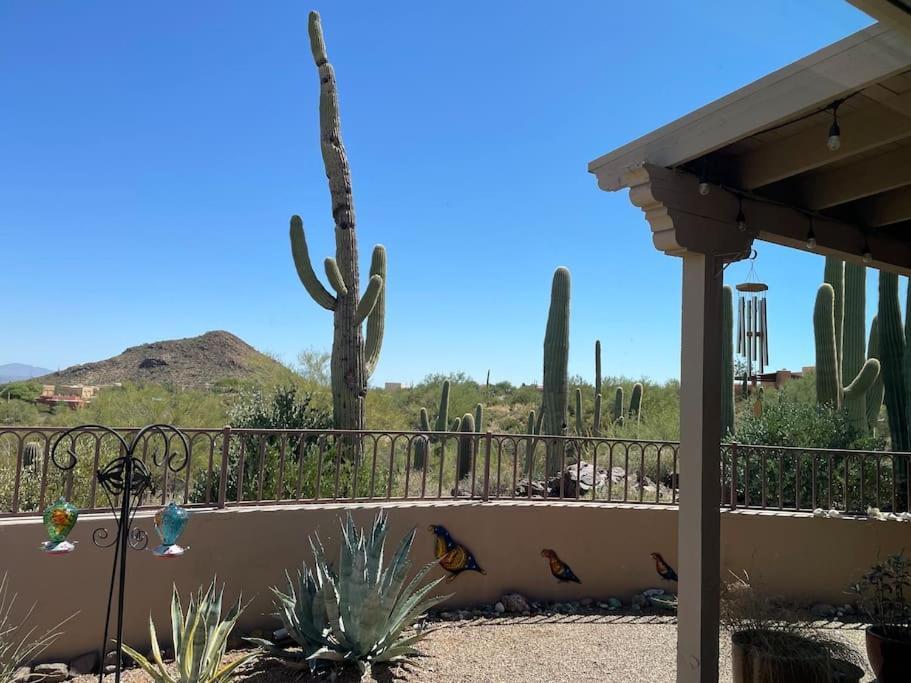 Tucson Mnt Foothills Saguaro Bliss Villa Exterior photo