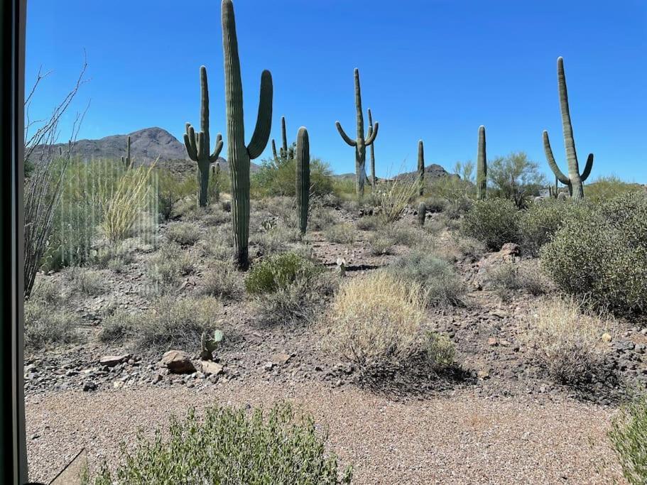 Tucson Mnt Foothills Saguaro Bliss Villa Exterior photo