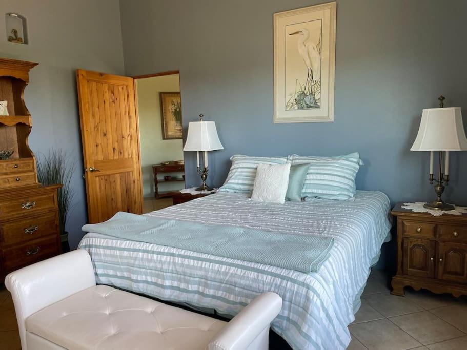 Tucson Mnt Foothills Saguaro Bliss Villa Exterior photo