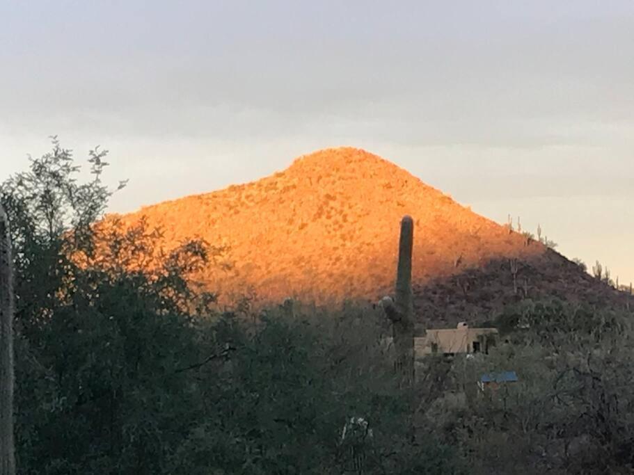 Tucson Mnt Foothills Saguaro Bliss Villa Exterior photo
