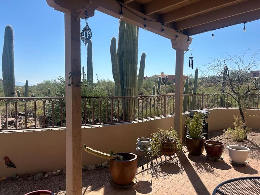 Tucson Mnt Foothills Saguaro Bliss Villa Exterior photo